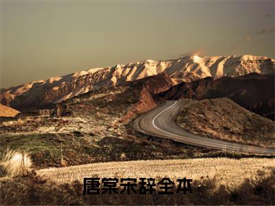 唐棠宋辞小说（一口蜜糖）全文免费阅读无弹窗大结局_唐棠宋辞小说最新章节列表