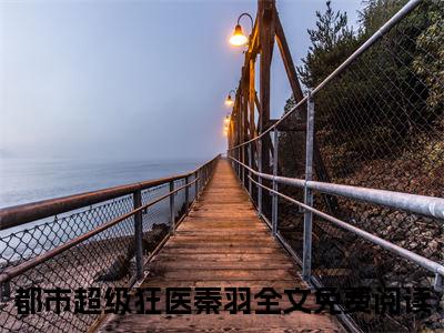 都市超级狂医秦羽小说（都市超级狂医秦羽）全文免费阅读无弹窗大结局_都市超级狂医秦羽全文免费完结版阅读（都市超级狂医秦羽）