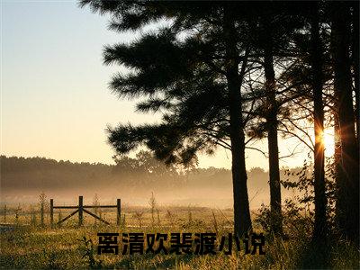 离清欢裴渡小说（离清欢裴渡）小说全文无删减版在线阅读_离清欢裴渡小说最新章节列表