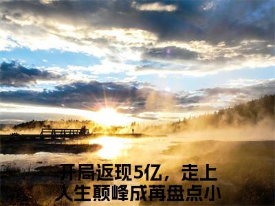 开局返现5亿，走上人生颠峰成苒小说小说全集免费阅读 开局返现5亿，走上人生颠峰成苒章节目录