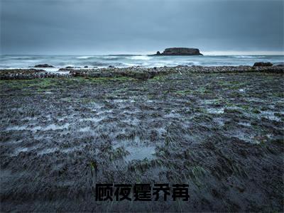 顾夜霆乔苒（顾夜霆乔苒）完整版小说免费阅读全文-顾夜霆乔苒最新在线阅读