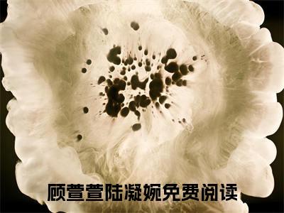 顾萱萱陆凝婉小说大结局免费阅读（顾萱萱陆凝婉）-完结版顾萱萱陆凝婉小说免费阅读