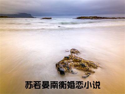 苏若晏南衡（苏若晏南衡）全文免费阅读无弹窗大结局-苏若晏南衡免费阅读全文大结局-笔趣阁