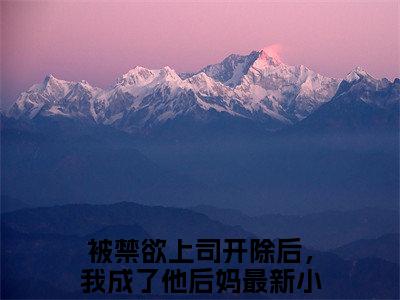 【热门】《纪子寒白雨宁》书名是被禁欲上司开除后，我成了他后妈全文免费阅读已完结