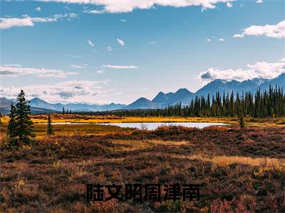 陆文昭周津南小说（陆文昭周津南）全文免费阅读无弹窗大结局_陆文昭周津南小说最新章节列表_笔趣阁（陆文昭周津南）