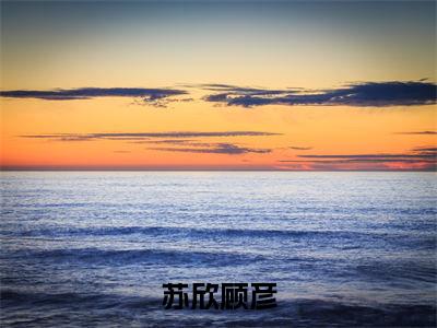 苏欣顾彦今日阅读更新-（苏欣顾彦）全文免费阅读-苏欣顾彦