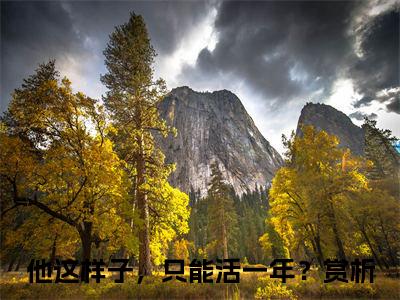 他这样子，只能活一年？（初迢厉司丞）全文免费阅读无弹窗-初迢厉司丞完整版全文在线赏析