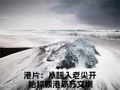 港片：从踩入老尖开始称霸港岛苏文圳免费小说-港片：从踩入老尖开始称霸港岛苏文圳已更新最新章节