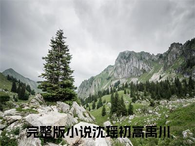 沈瑶初高禹川（沈瑶初高禹川）全文免费阅读无弹窗大结局_沈瑶初高禹川最新章节列表-笔趣阁沈瑶初高禹川