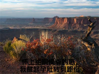 怀上绝嗣侯爷的崽，我藏起孕肚转身跑纪芜（怀上绝嗣侯爷的崽，我藏起孕肚转身跑纪芜）全文免费阅读无弹窗大结局_（怀上绝嗣侯爷的崽，我藏起孕肚转身跑纪芜全文免费阅读无弹窗）怀上绝嗣侯爷的崽，我藏起孕肚转身跑纪芜最新章节列表_笔趣阁（怀上绝嗣侯爷的崽，我藏起孕肚转身跑纪芜）