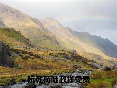 阮苏荷陆政祥全网首发小说- 阮苏荷陆政祥美文无删阅读