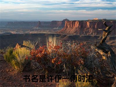 许伊一傅时湛小说（许伊一傅时湛）全文免费阅读无弹窗-许伊一傅时湛最新章节列表-笔趣阁