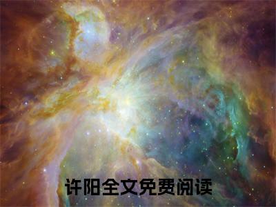 从弃子到无双权臣小说（许阳）全文免费阅读无弹窗大结局_从弃子到无双权臣最新章节在线阅读_笔趣阁