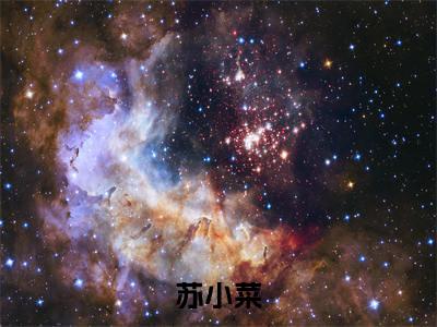 星际第一菜农苏小菜小说-星际第一菜农小说全文免费阅读