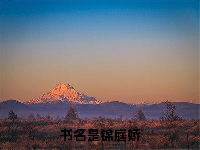 沈羲（锦庭娇）最新章节在线阅读-老书虫推荐沈羲小说