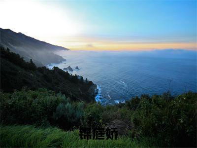 锦庭娇新书热荐免费小说沈羲全文完整版-沈羲小说全文无删减版免费阅读