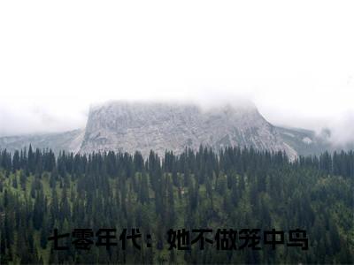 霍祁姜煜（七零年代：她不做笼中鸟）全文免费阅读无弹窗大结局_（霍祁姜煜）七零年代：她不做笼中鸟章节列表