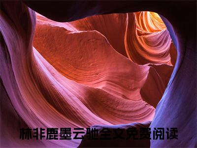 禁止越线！墨总，林律师名花有主了（禁止越线！墨总，林律师名花有主了）小说在线阅读_禁止越线！墨总，林律师名花有主了全本免费小说阅读（林非鹿墨云驰）