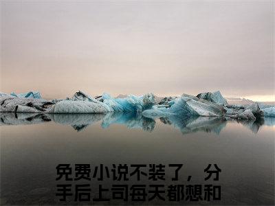 小说沈斯言凃婳免费阅读-（不装了，分手后上司每天都想和我结婚）全文无弹窗阅读
