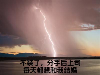 （番外）+（全文）不装了，分手后上司每天都想和我结婚（沈斯言凃婳）精彩小说-小说沈斯言凃婳全文无删减版免费阅读