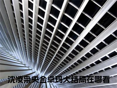 八零雪域已无他（沈凌枭央金卓玛）全文免费八零雪域已无他读无弹窗大结局_八零雪域已无他免费沈凌枭央金卓玛读最新章节列表_笔趣阁