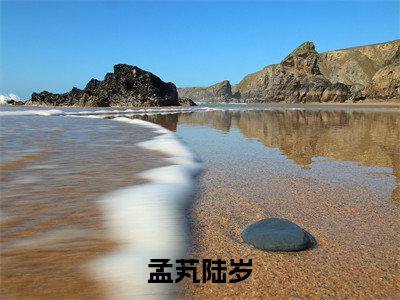 我也曾说爱你（孟芄陆岁全章节完整版）免费阅读_我也曾说爱你（孟芄陆岁）最新章节列表笔趣阁