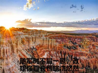 随军时不屑一顾，改嫁你首长慌啥沈悠然全集小说完整版大结局_随军时不屑一顾，改嫁你首长慌啥沈悠然完结版在线阅读