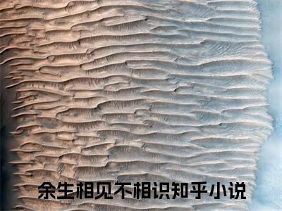 蒋书屹宋慈阳小说免费全本-余生相见不相识小说（蒋书屹宋慈阳完整版）免费阅读