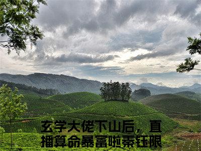 玄学大佬下山后，直播算命暴富啦秦钰完整版全文在线赏析-玄学大佬下山后，直播算命暴富啦秦钰全文在线阅读