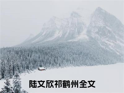 (好书推荐)陆文欣祁鹤州最新章节小说_陆文欣祁鹤州全文阅读