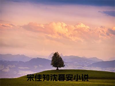 宋佳知沈暮安免费小说（宋佳知沈暮安）小说免费阅读无弹窗大结局_宋佳知沈暮安小说全集最新章节列表_笔趣阁(宋佳知沈暮安)