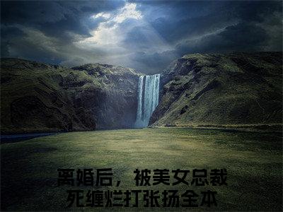 离婚后，被美女总裁死缠烂打张扬（离婚后，被美女总裁死缠烂打张扬）小说在线阅读_离婚后，被美女总裁死缠烂打张扬全本免费小说阅读（离婚后，被美女总裁死缠烂打张扬）