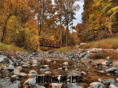谢南鸢萧北琰小说（谢南鸢萧北琰）全文免费阅读无弹窗_谢南鸢萧北琰高赞小说免费阅读笔趣阁