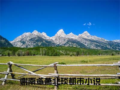 谢南鸢萧北琰全文免费阅读-小说谢南鸢萧北琰大结