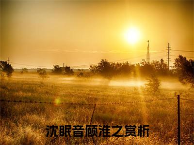 沈眠音顾淮之小说全文免费阅读_沈眠音顾淮之（沈眠音顾淮之）最新章节列表在线阅读