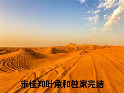 宋佳知叶承和txt（宋佳知叶承和）全文免费阅读无弹窗大结局_宋佳知叶承和最新章节列表_笔趣阁（宋佳知叶承和）
