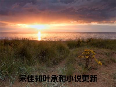 宋佳知叶承和无弹窗最新章节列表_笔趣阁