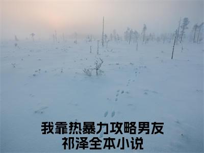 我靠热暴力攻略男友祁泽(我靠热暴力攻略男友祁泽)全文免费阅读无弹窗大结局_我靠热暴力攻略男友祁泽小说免费阅读全文大结局最新章节列表_笔趣阁