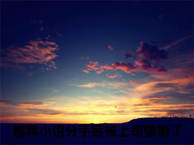 分手后被上司骗婚了小说免费阅读全文（分手后被上司骗婚了）全文免费阅读无弹窗大结局_凃婳沈斯言最新章节列表