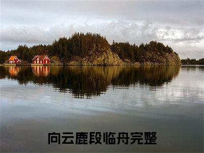 向云鹿段临舟（向云鹿段临舟）小说全文完结版免费阅读