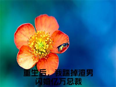 重生后，我踹掉渣男闪婚亿万总裁（封爵林潇玥）全文免费阅读无弹窗大结局_重生后，我踹掉渣男闪婚亿万总裁最新章节列表_笔趣阁