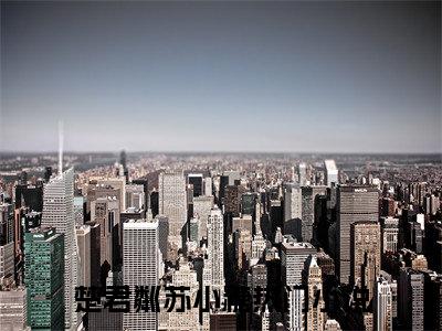 一颗糖就不苦（楚君粼苏小糖）全文免费阅读无弹窗大结局_楚君粼苏小糖最新章节列表笔趣阁