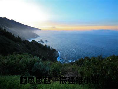 顾思思赵一辰是什么小说_主角是（心动痞帅）的小说（顾思思赵一辰）最新章节无弹窗阅读