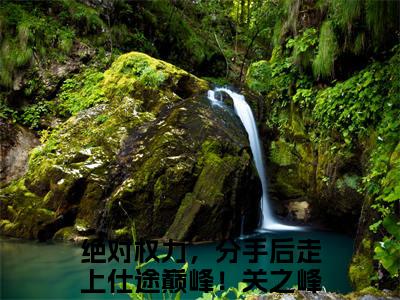 绝对权力，分手后走上仕途巅峰！关之峰热门小说在哪免费看-小说（绝对权力，分手后走上仕途巅峰！关之峰）完整版全文在线赏析
