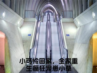 小可怜回家，全家重生疯狂宠崽小草抖音热推新书小说全文阅读 （小可怜回家，全家重生疯狂宠崽小草）全文免费阅读大结局