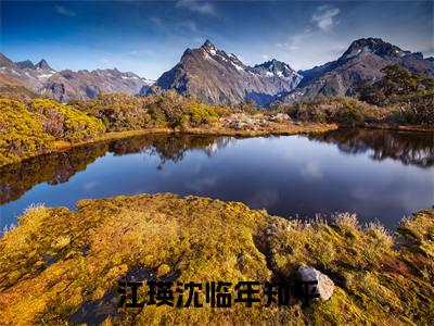 江瑛沈临年是什么小说，江瑛沈临年（江瑛沈临年）完整章节在线阅读