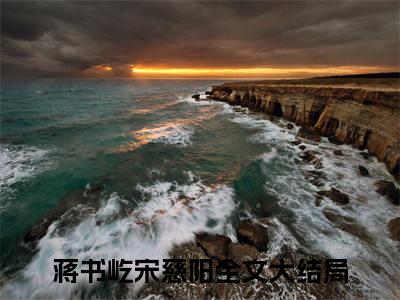 蒋书屹宋慈阳（蒋书屹宋慈阳精彩美文）免费阅读-小说蒋书屹宋慈阳最后结局如何