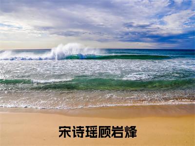 宋诗瑶顾岩烽全文免费阅读无弹窗大结局_章节列表_笔趣阁
