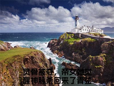 灵骨被夺，帝女她觉醒神脉杀回来了青弦全文(灵骨被夺，帝女她觉醒神脉杀回来了青弦)小说免费阅读无弹窗大结局_ 灵骨被夺，帝女她觉醒神脉杀回来了青弦全文无弹窗完整版阅读