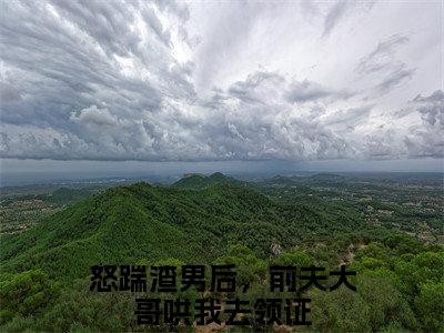 后续+全集怒踹渣男后，前夫大哥哄我去领证（完整版）热文小说阅读-怒踹渣男后，前夫大哥哄我去领证全文抖音热推
